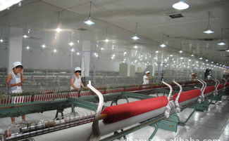 高檔精品時尚品牌羊絨衫誠招代理加盟，廠家直供，優價共贏